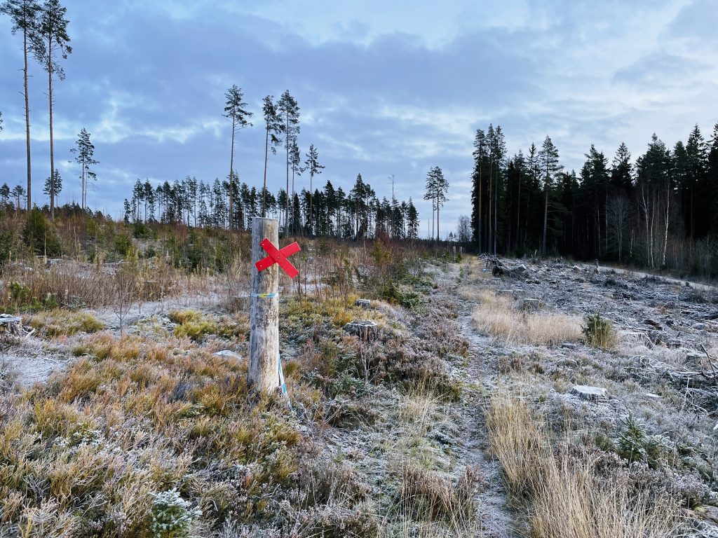 Hohällarundan, Storvik