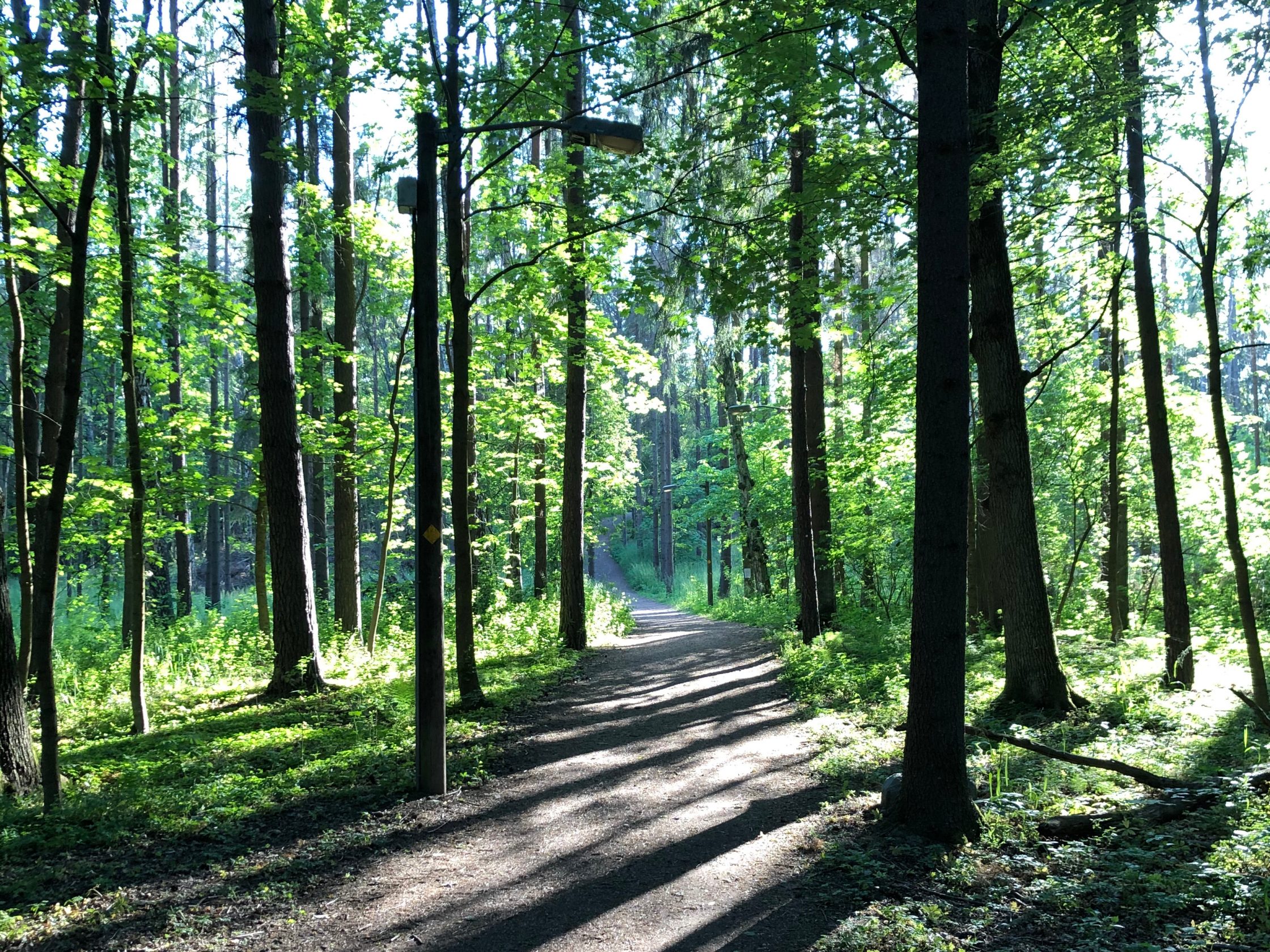 Elljusspåren, Norra Djurgården