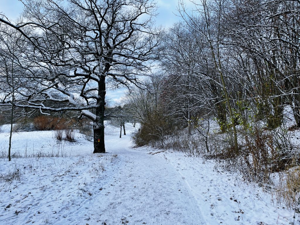 Terrängspåren Karlberg